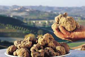 canelli_tartufo_bianco