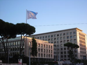 FAO-Roma