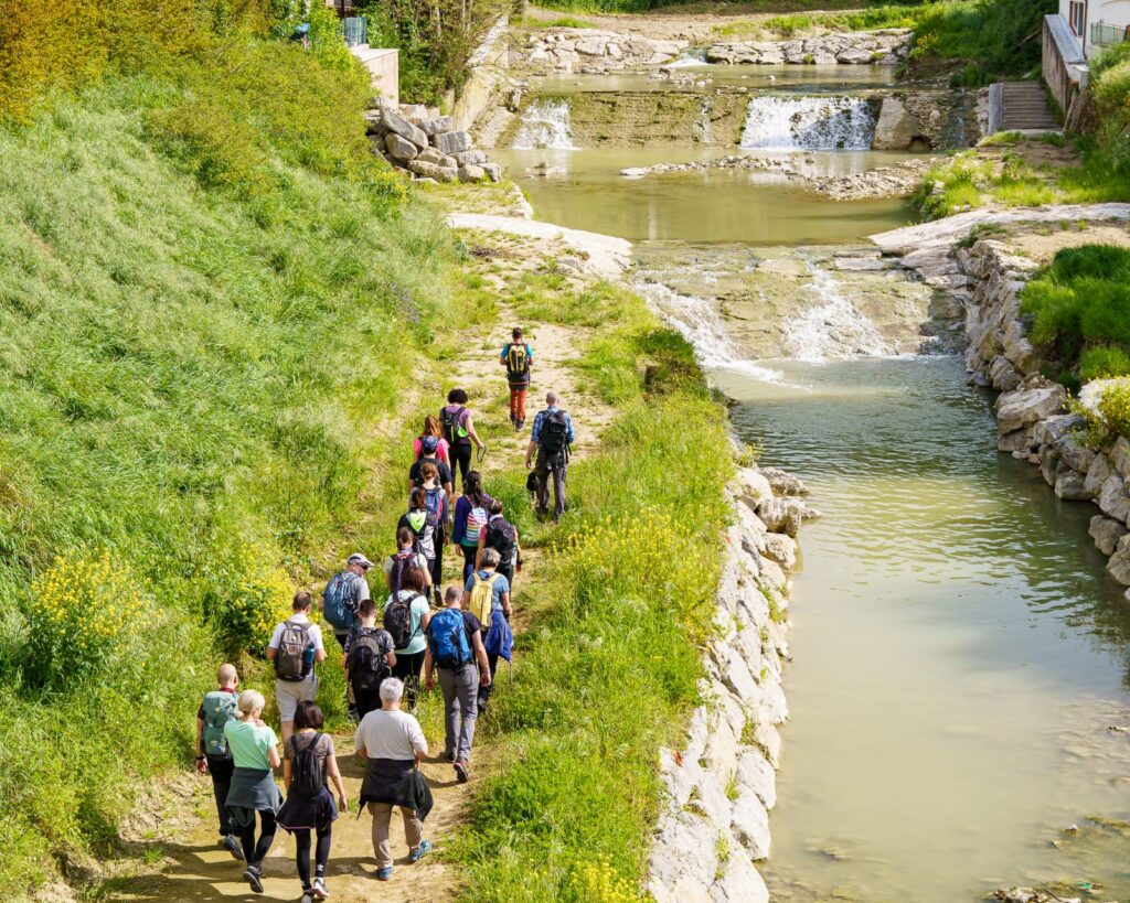 Escursione, passeggiata, camminata